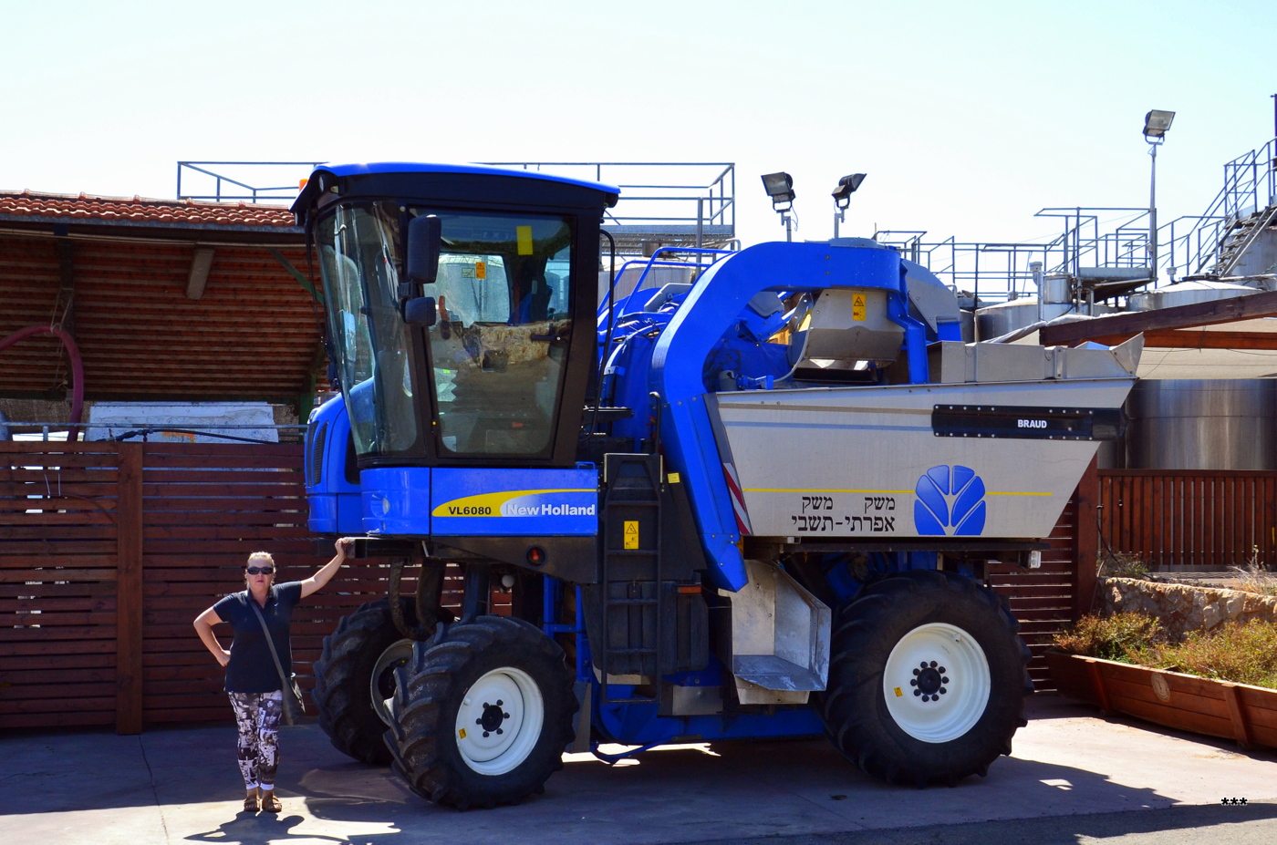 Комбайн для уборки винограда New Holland Braud VL 6080. Израиль, Зихрон-Яаков, винодельня "Тишби" 