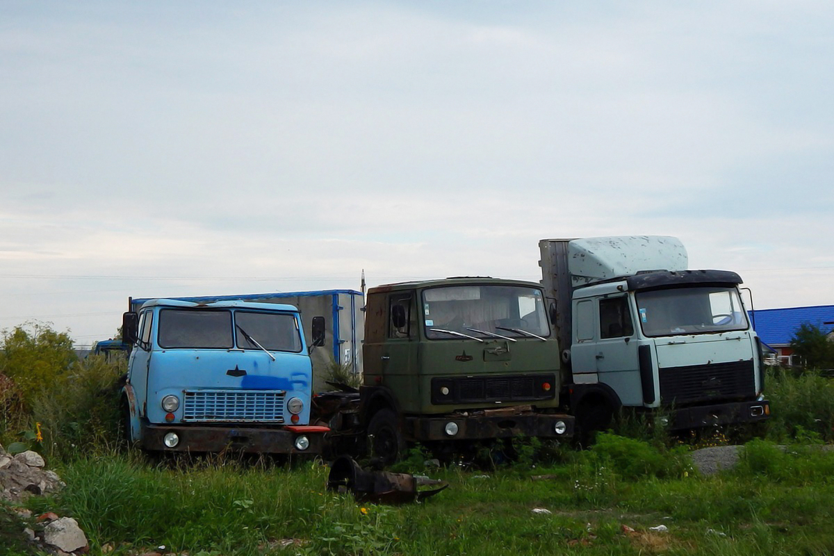 Автомобили МАЗ. Белгородская область, г. Алексеевка, улица Фарджина Пасека