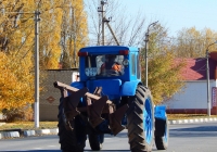 Трактор МТЗ-50* "Беларусь" # 4380 БЛ с плугом ПЛН-3-35. Белгородская область, г. Алексеевка, улица Павла Ющенко