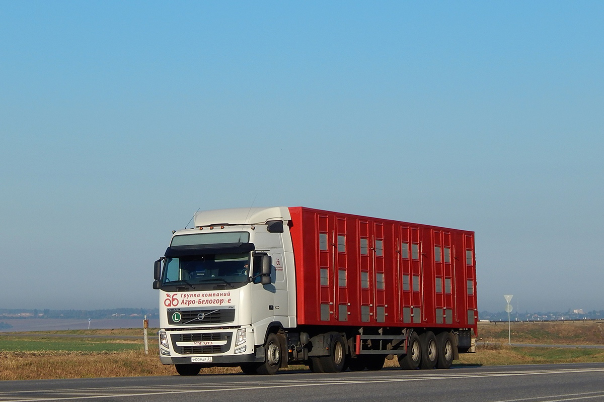 Седельный тягач Volvo FH12 #Р 009 АР 31 с полуприцепом-скотовозом. Белгородская область, Корочанский район, автодорога Р-185 "Белгород - Павловск"