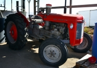 Трактор Massey Ferguson MF 35. Израиль, Зихрон-Яаков, винодельня "Тишби"