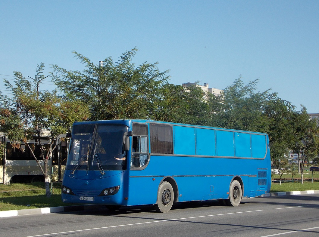 Фургон на базе автобуса МАРЗ-42191-01 #Е 246 РТ 31. Белгородская область, г. Старый Оскол, проспект Алексея Угарова