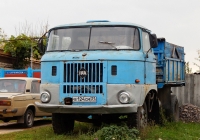 Самосвал на шасси IFA W50L #В 124 СМ 31. Белгородская область, г. Валуйки, улица Суржикова