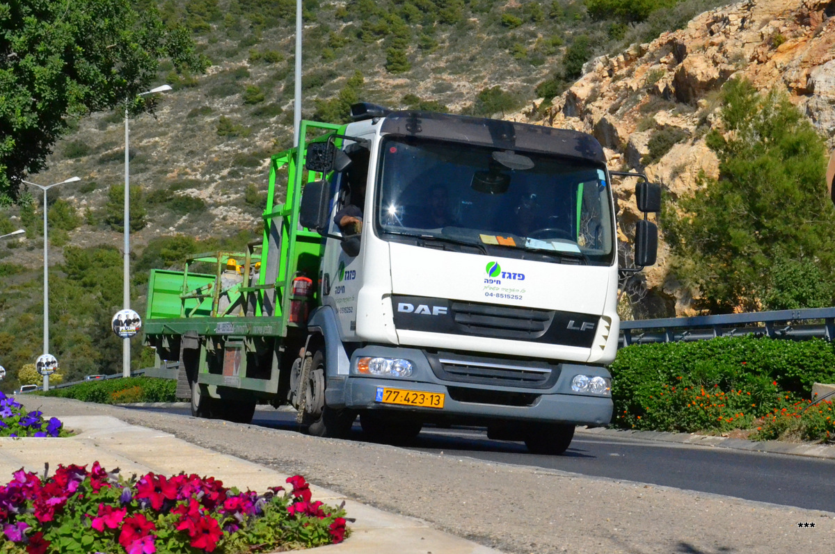 Платформа для газовых балонов на шасси DAF LF* #77-423-13. Израиль, Хайфа