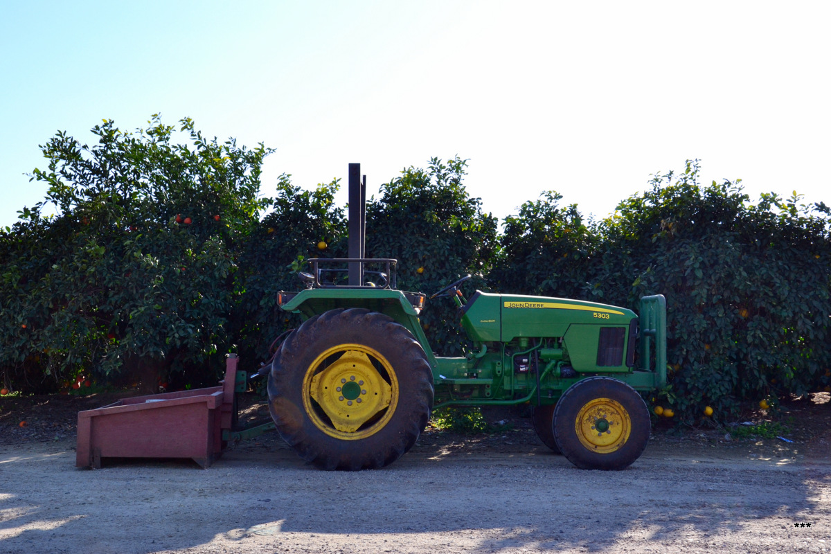 Трактор John Deere 5303 #55-341-51. Израиль, Нетания