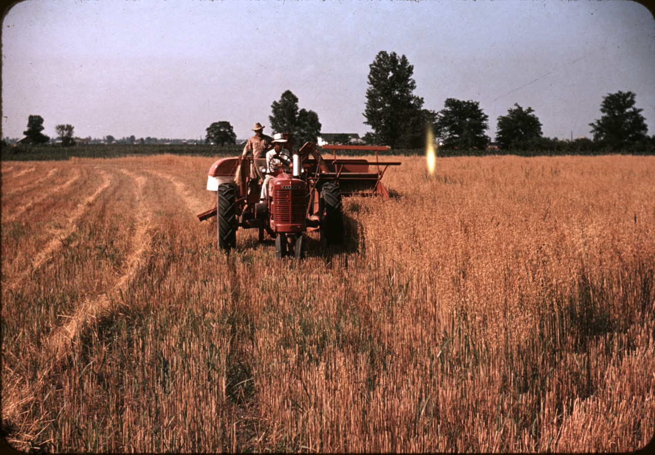 Трактор Farmall Regular в поле. США, штат Нью-Йорк, Сиракьюс