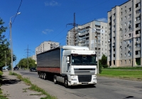 Седельный тягач DAF XF 95 #ВК 5402 ВА. Харьковская область, г. Харьков, Краснодарская улица