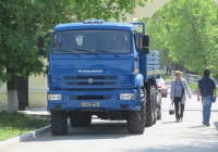 Грузовой автомобиль КамАЗ-43118 #9274 УА 12. Курган, Городской сад