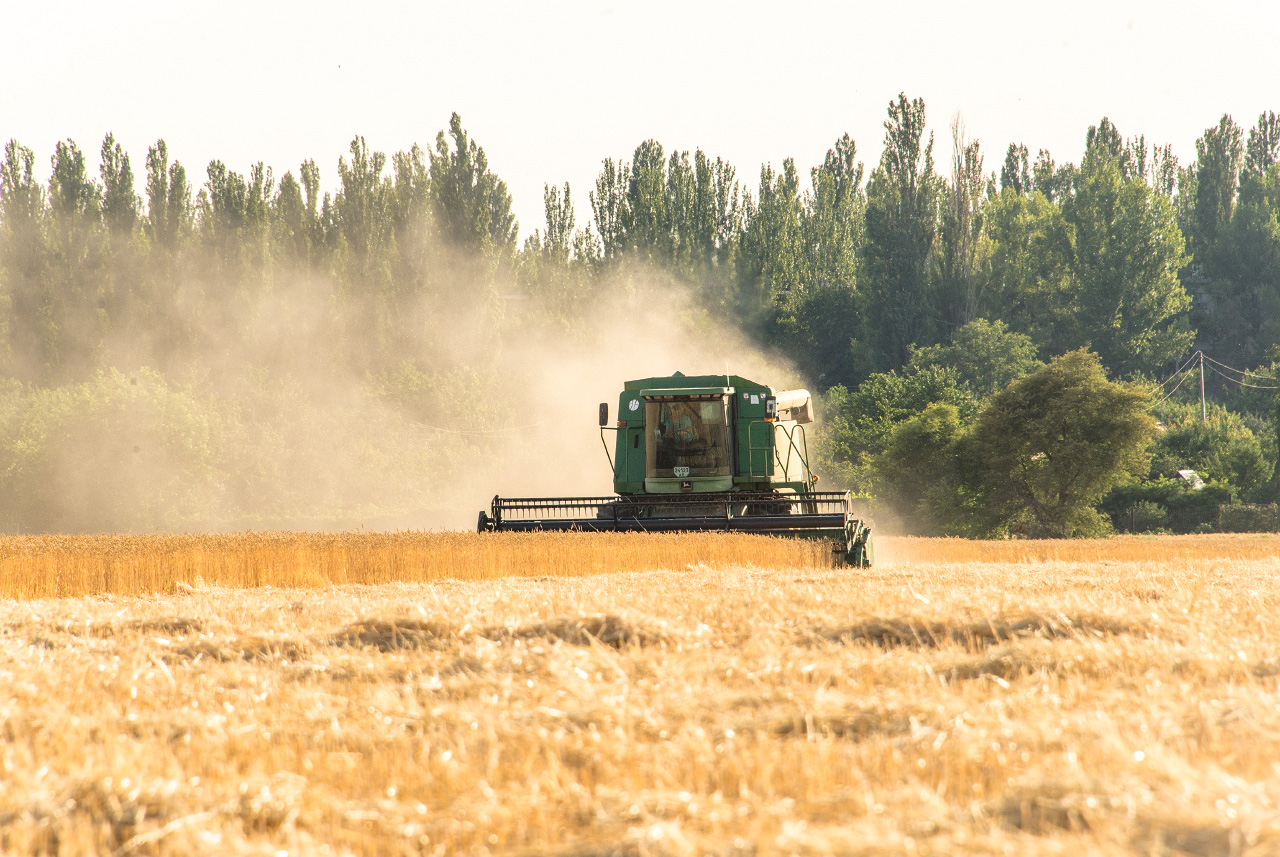 Комбайн John Deer 9500 на уборке зерновых. Днепропетровская область, Никопольский район