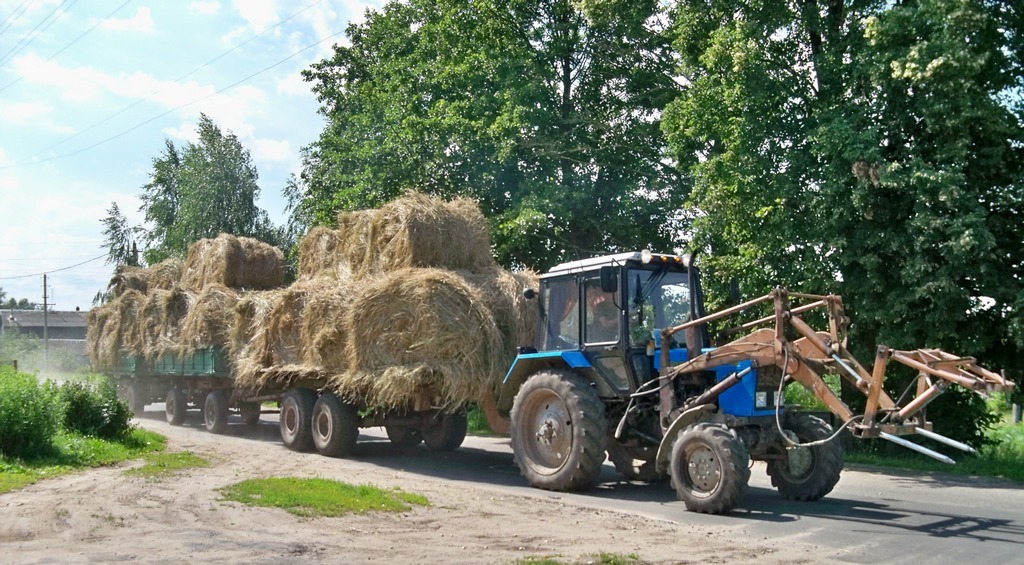 Беларус-82.1 (МТЗ-82.1) и прицепы 1ПТС-9, 2ПТС-4 х 2 шт.# ТА-6 7281. Могилёвская область, г.п.Хотимск