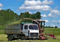 МАЗ-555142-4229 РБ #АА 6258-6. Могилёвская область, Хотимский район, Липовка