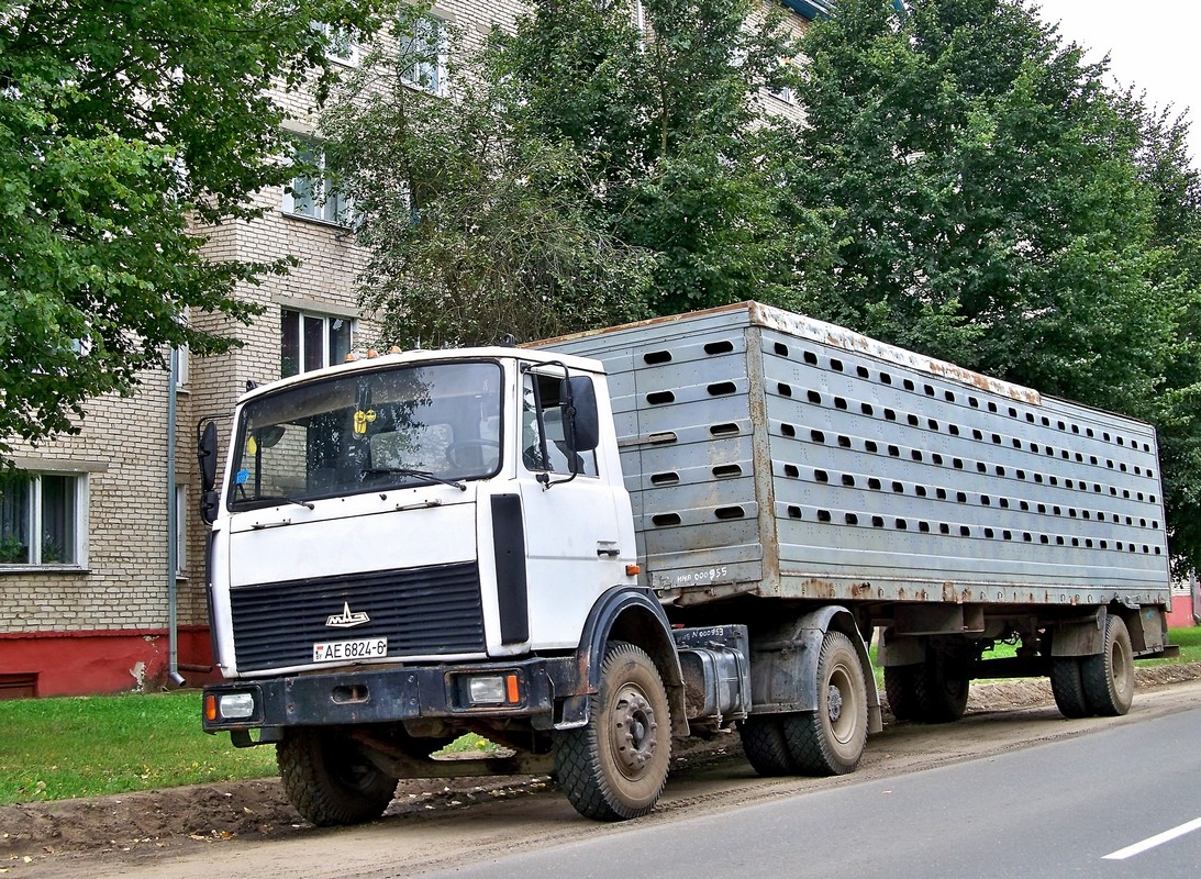 МАЗ-5433  #АЕ 6824-6 с полуприцепом-скотовозом. Могилёвская область, г.Климовичи