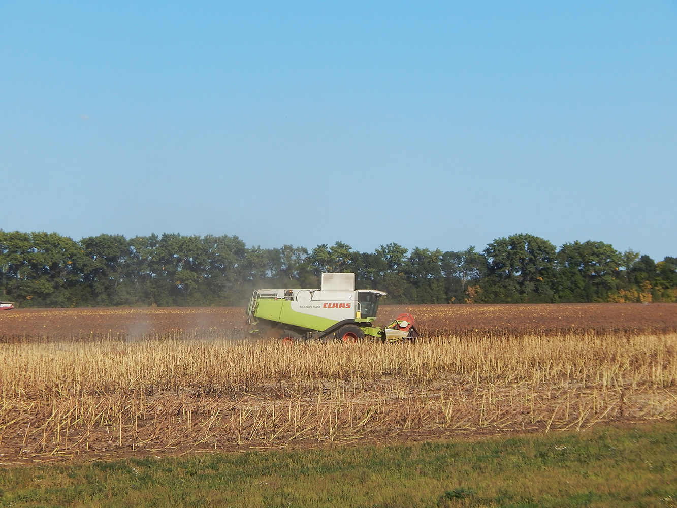 Комбайн Claas Lexion 570 на уборке подсолнечника. Белгородская область, Алексеевский район