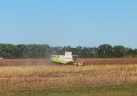 Комбайн Claas Lexion 570 на уборке подсолнечника. Белгородская область, Алексеевский район