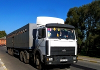 МАЗ-6422* с полуприцепом-скотовозом #АВ 3194-6. Беларусь, Могилёвская область, Хотимск