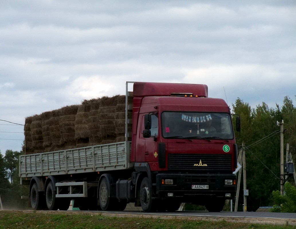 МАЗ-5440 и полуприцеп МАЗ-9397 перевозка льна #АА 6421-6. Беларусь, Могилёвская область, Хотимск