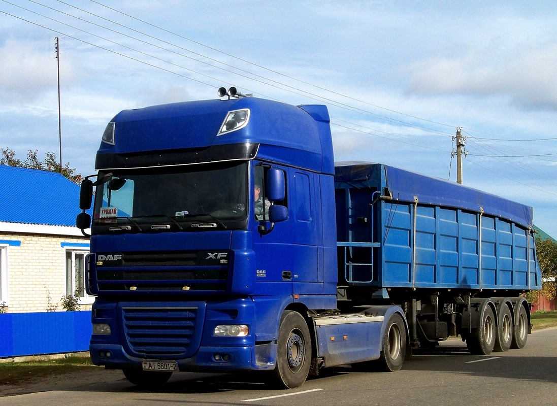 Седельный тягач DAF XF 105.480 #АI 6601-2. Беларусь, Могилёвская область, Хотимск