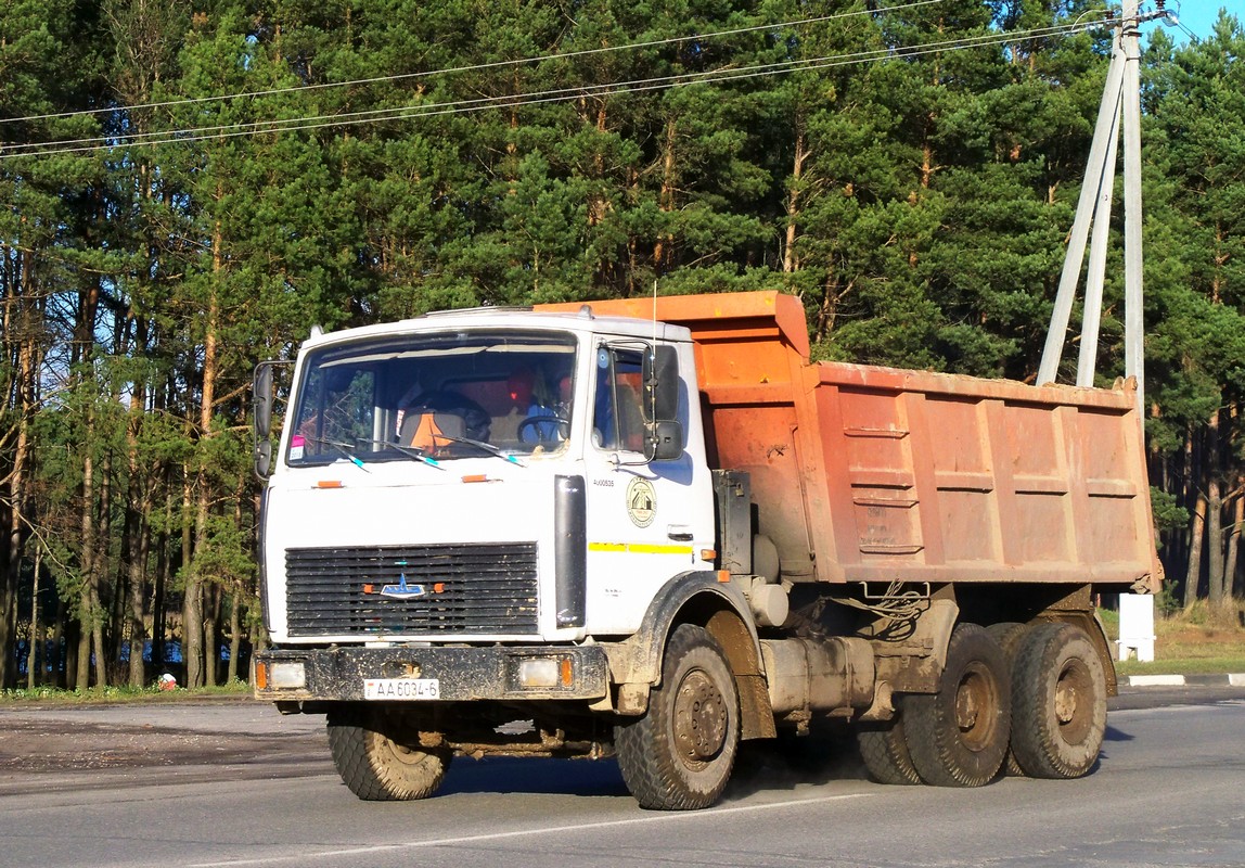 Самосвал МАЗ-5516*  #АА 6034-6. Беларусь, Могилёвская область, Костюковичи