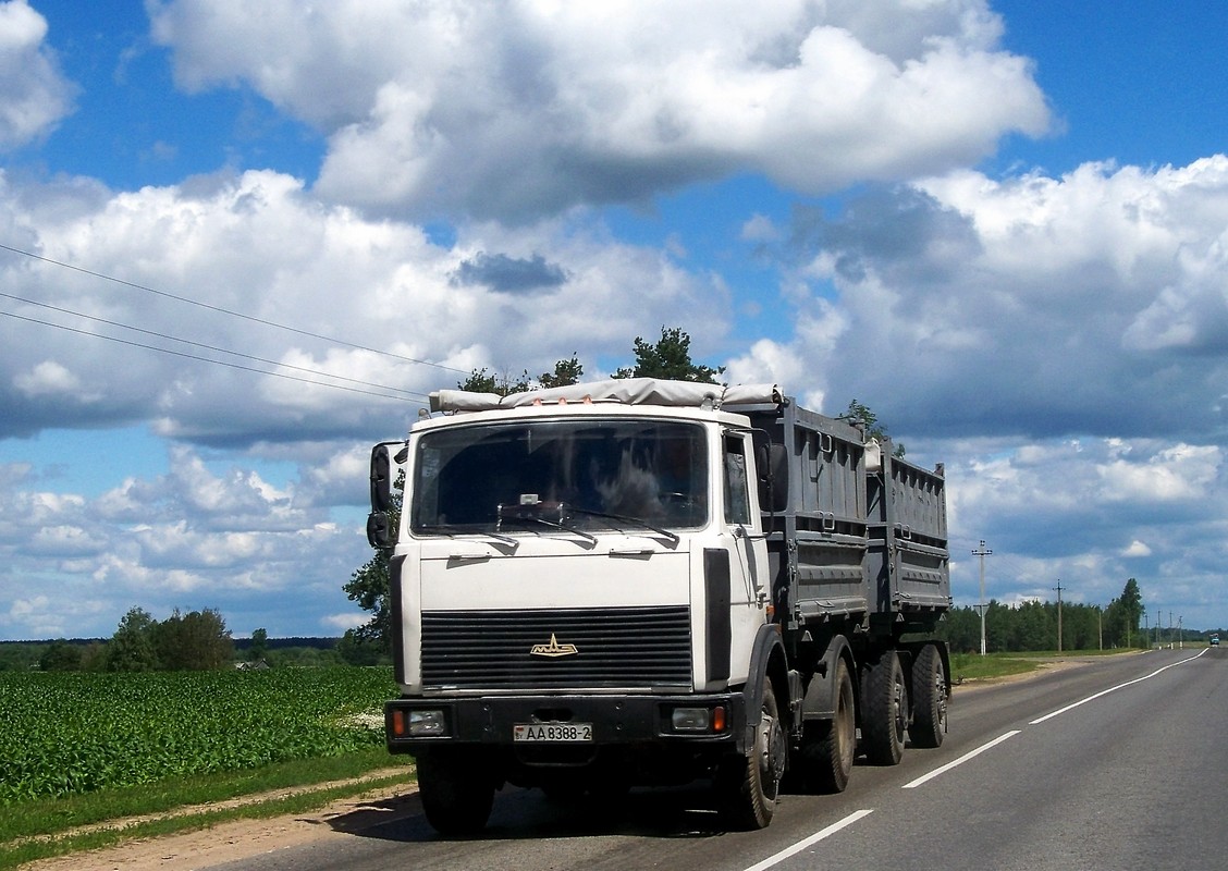 Самосвал МАЗ-5551А2 #АА 8388-6 с прицепом  . Беларусь, Могилёвская область, Климовичский район, автодорога Р-75