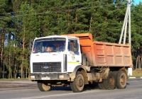 Самосвал МАЗ-5516*  #АА 6034-6. Беларусь, Могилёвская область, Костюковичи