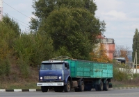 Седельный тягач МАЗ-5429 # М 905 ВР 31 с двухосным полуприцепом. Белгородская область, г. Алексеевка, ул. Заводская