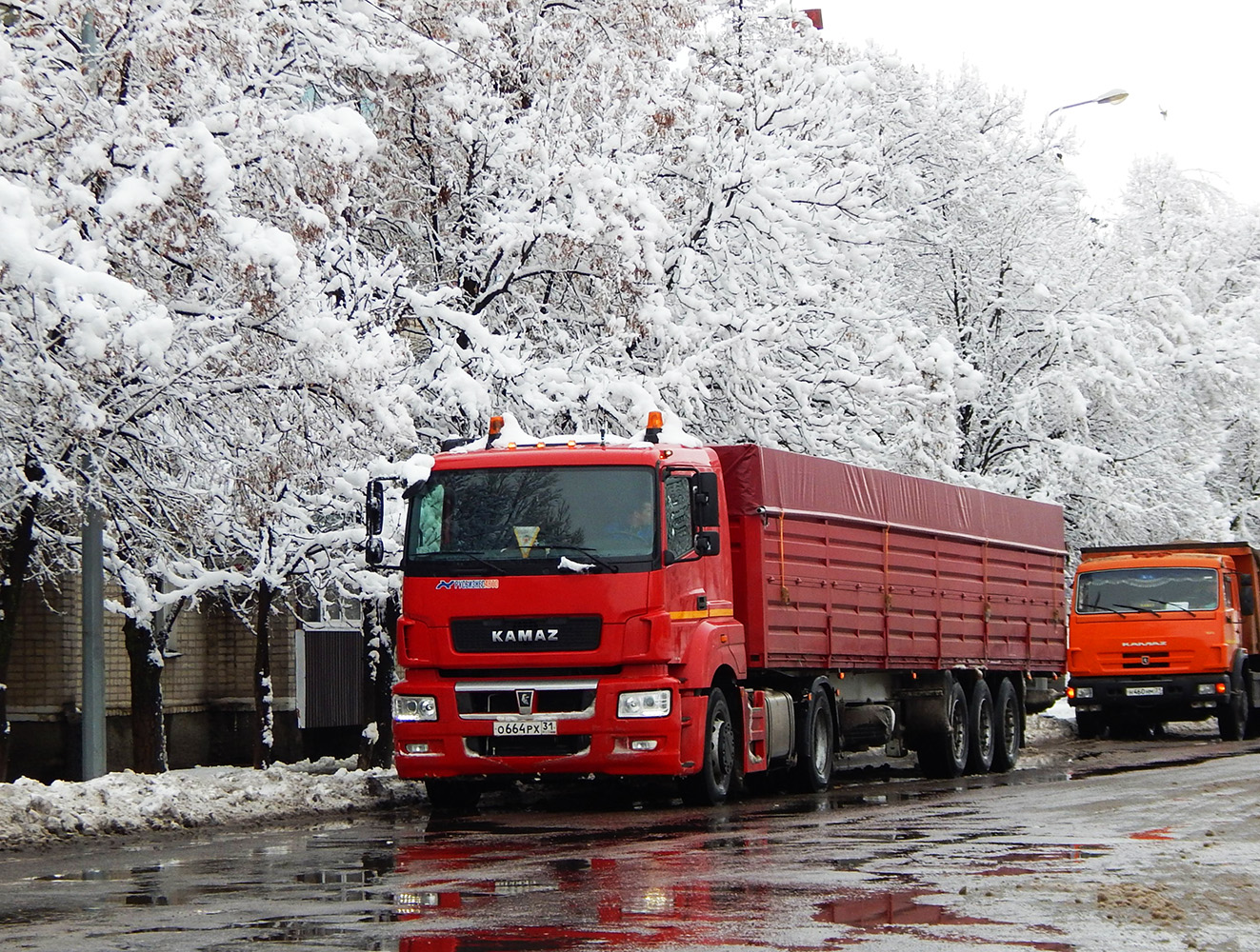 Седельный тягач КамАЗ-5490 # О 664 РХ 31 с трёхосным полуприцепом. Белгородская область, г. Алексеевка, ул. Василия Собины