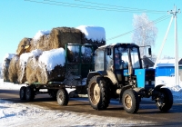 Беларус-82.1 (МТЗ-82.1). Беларусь, Могилёвская область, Хотимск