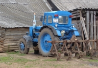 Трактор Т-40АМ #3649 ЕА 60. Псковская область, Порховский район, д. Нестрино