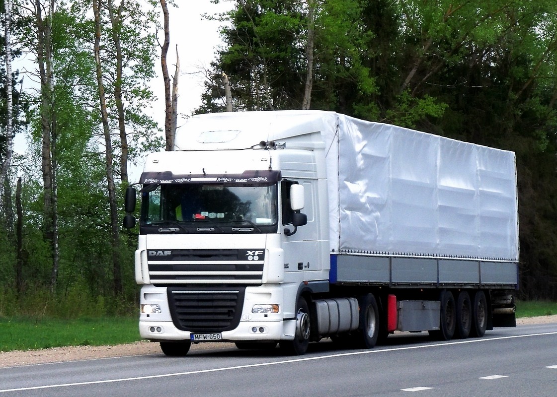 Седельный тягач DAF XF 95*  #MFW 050. Россия, Смоленская область, Шумячский район