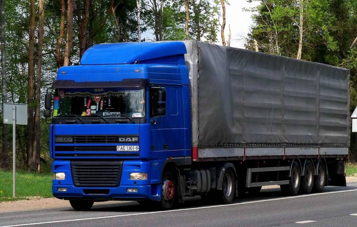 Седельный тягач DAF 95XF  #AE 1301-6. Россия, Смоленская область, Шумячский район
