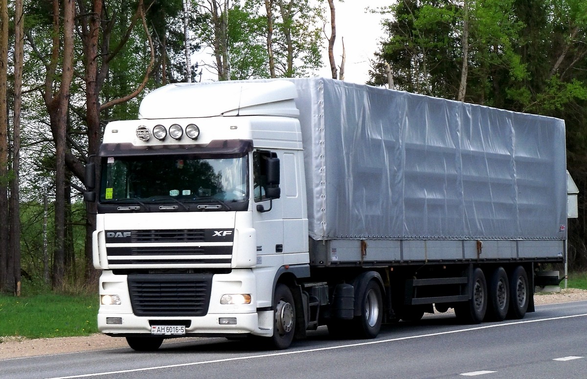 Седельный тягач DAF XF95  #АН 6016-5. Россия, Смоленская область, Шумячский район