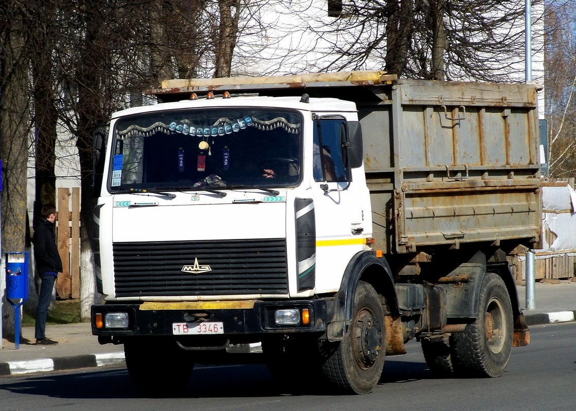Самосвал МАЗ-5551-325 #ТВ 3346. Беларусь, Могилёвская область, Кричев