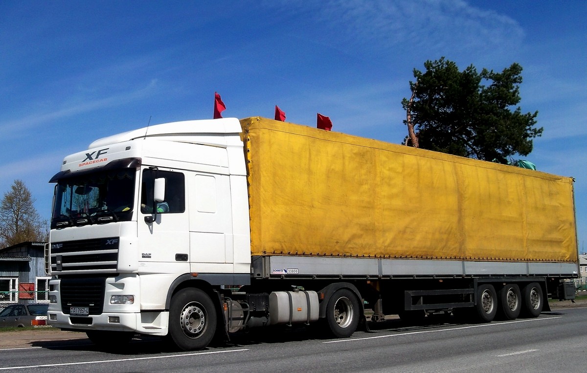 Седельный тягач DAF XF95 #AI7957-4. Беларусь, Могилёвская область, Кричевский район, Красная Буда