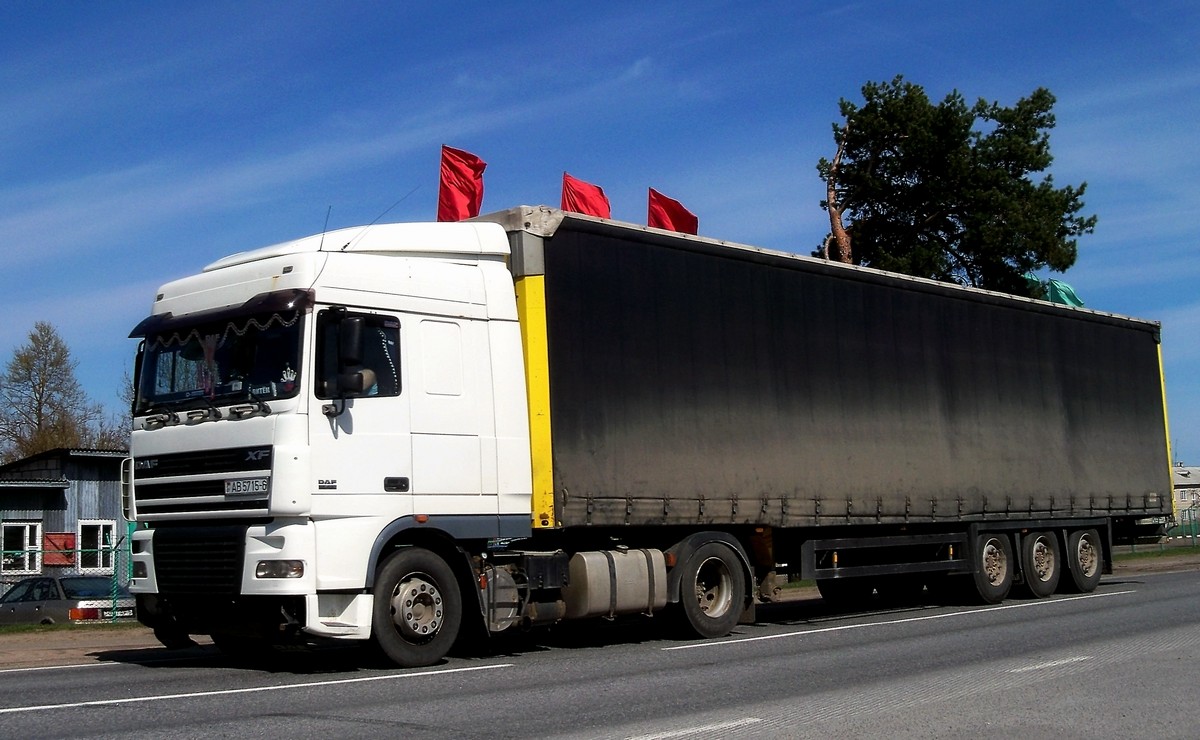 Седельный тягач DAF XF 95 #АВ 5716-6. Беларусь, Могилёвская область, Кричевский район, Красная Буда