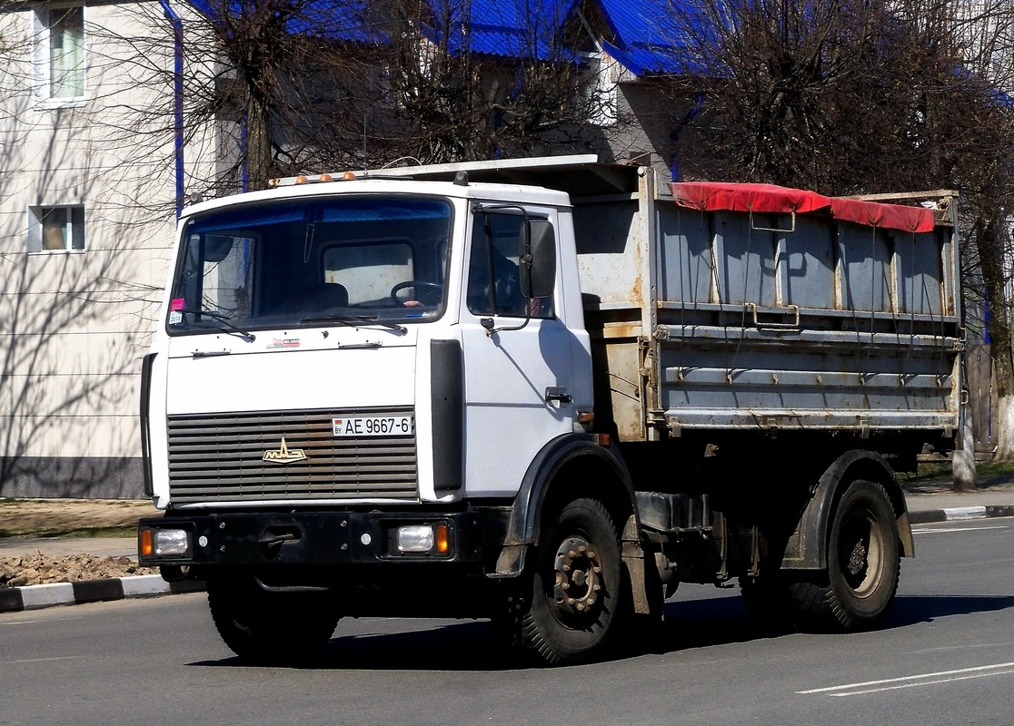 Самосвал МАЗ-6501 #АЕ 9667-6. Беларусь, Могилёвская область, Кричев