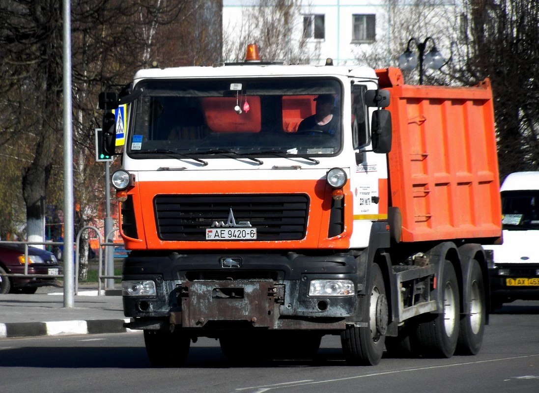 Самосвал МАЗ-6501 #АЕ 9420-6. Беларусь, Могилёвская область, Кричев