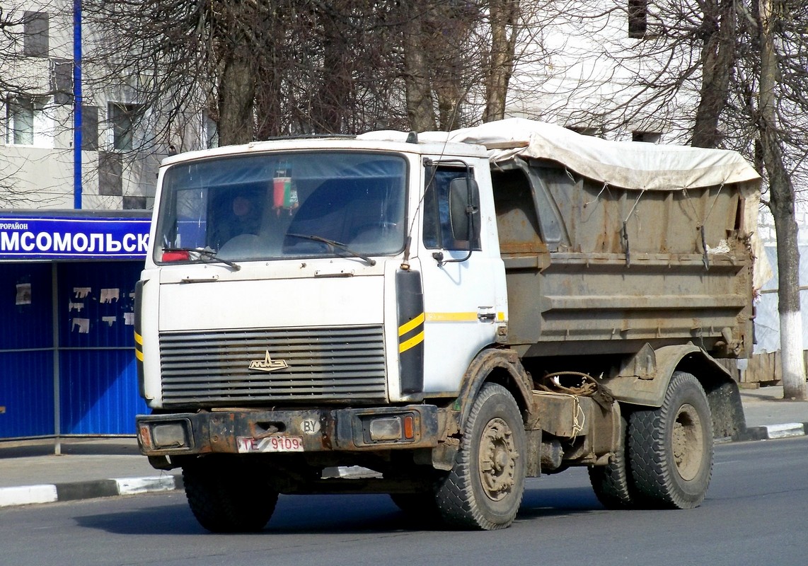 Самосвал МАЗ-5551 #ТЕ 9109. Беларусь, Могилёвская область, Кричев
