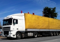 Седельный тягач DAF XF95 #AI7957-4. Беларусь, Могилёвская область, Кричевский район, Красная Буда