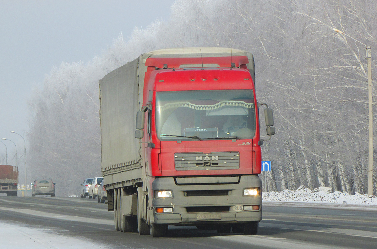 Седельный тягач MAN TGA 18.390 #У 063 РМ 22. Новосибирская область, Бердск, Барнаульская улица