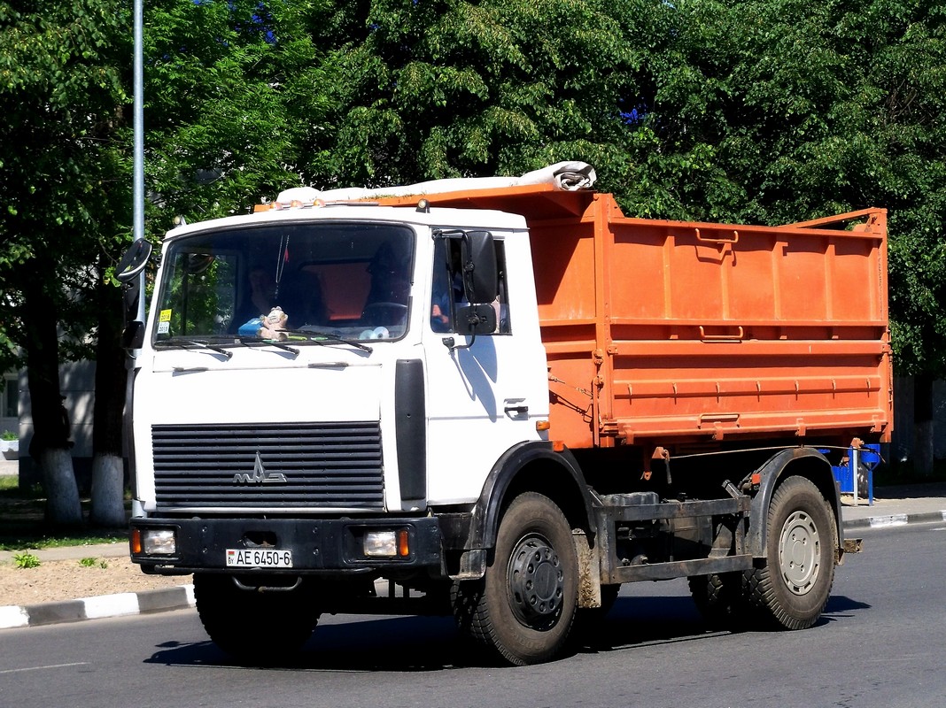 Самосвал МАЗ-5551  #АЕ 6450-6. Беларусь, Могилёвская область, Кричев