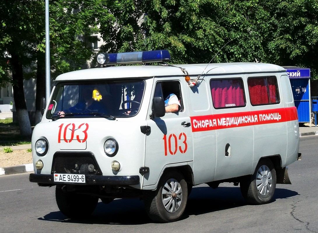 Санитарный автомобиль УАЗ-3962 #АЕ 9499-6. Беларусь, Могилёвская область, Кричев