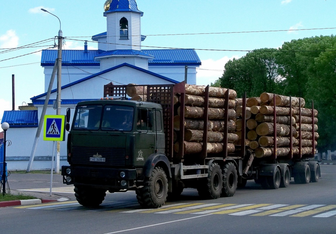 Лесовоз на шасси МАЗ-6317 #АЕ 3406-6. Беларусь, Могилёвская область, Чериков