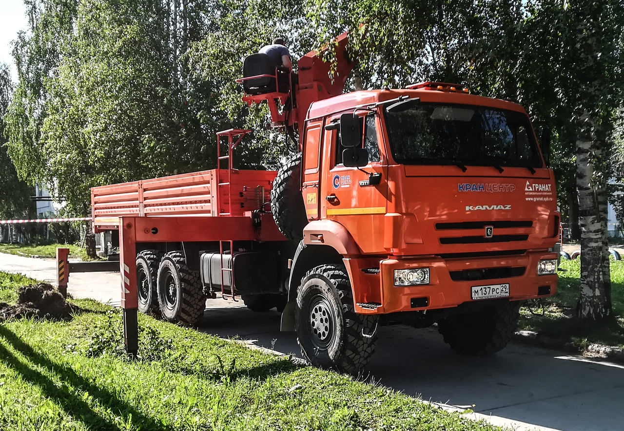 Бортовой с КМУ 658610 на шасси КамАЗ-43118 #М 137 РС 29. Архангельская обасть, Мирный