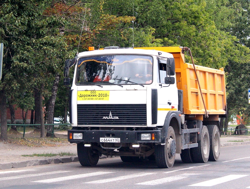 Самосвал МАЗ-5516Х5-480-050 #С 664 КТ 60. Псков, Инженерная улица