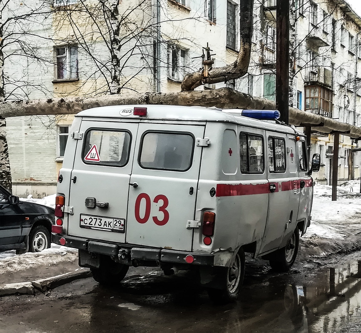 Санитарный автомобиль УАЗ-39629, #С 273 АК 29. Архангельская область