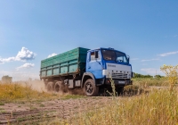 Самосвал КамАЗ-55102, #290-17ХА. Харьковская область, село Петровка 