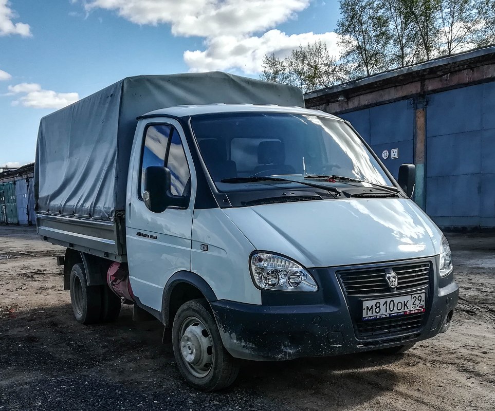 ГАЗ-3302-288 "Газель-Бизнес", М 810 ОК 29. Архангельская область.Мирный