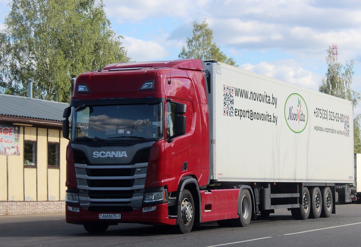 Седельный тягач Scania R 440 #AM 8675-1. Россия, Псковская область 