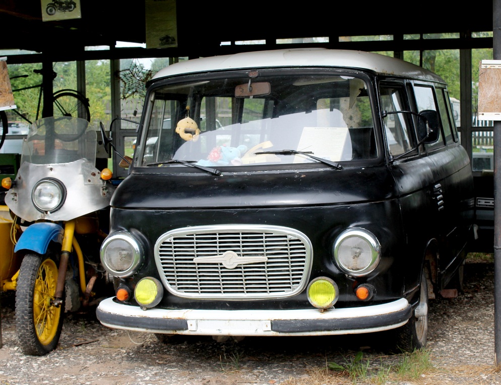 Микроавтобус Barkas B1000. Псковская область, Печорский район, Тешевицы