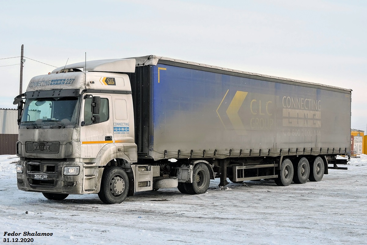 Тягач седельный КамАЗ-5490-S5 #Н565УА750. Курганская обл., Кетовский р-н, трасса Р-254 "Иртыш"